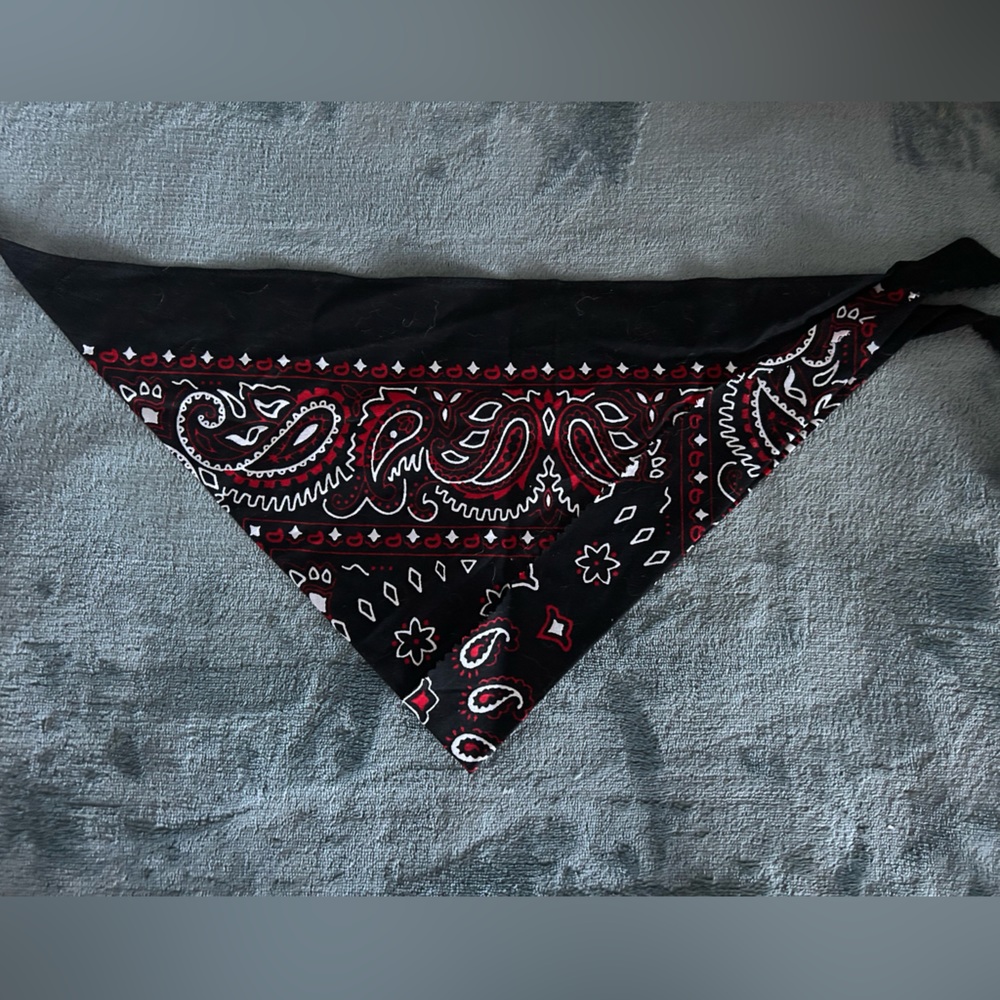 NWOT black and red dog bandana